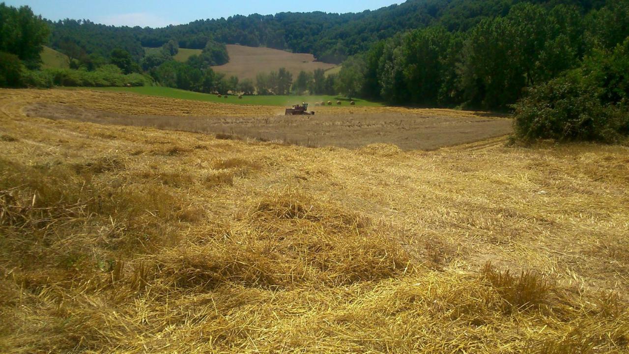 Borgodoro - Natural Retreat Magliano Sabina Kültér fotó